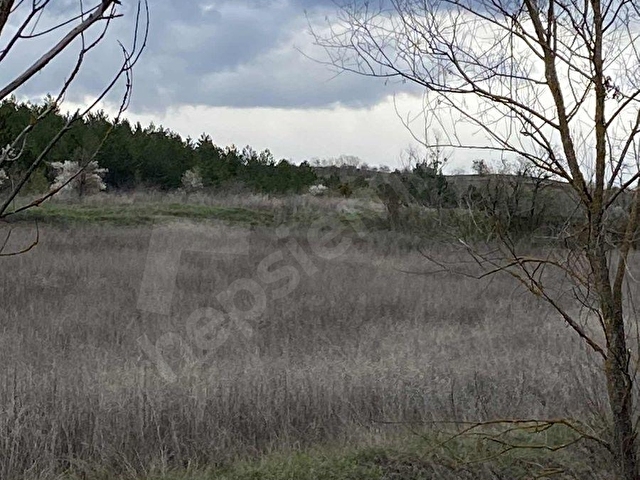 KASTAMONU SIRASÖĞÜTLER 6406 M2 ARAZİ HACIBEY KAVŞAĞA 4 KM - Görsel 8