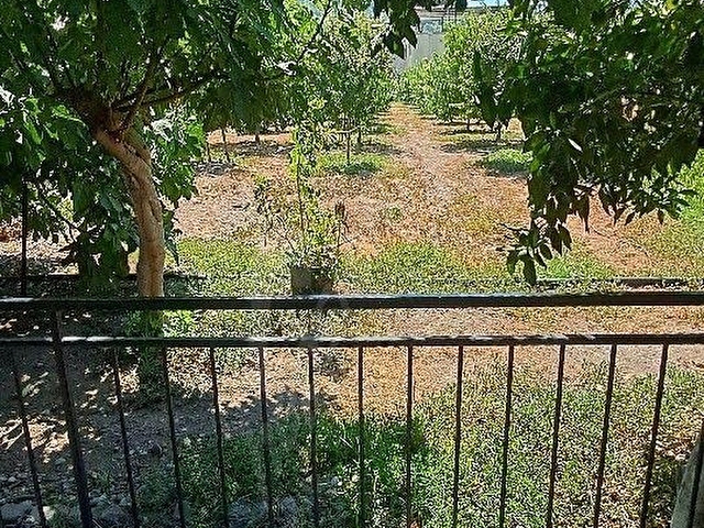 Muğla ortaca ekşiliyurt mah satılık müstakil 1330m²arsasıyla 2+1 köy evi - Görsel 8