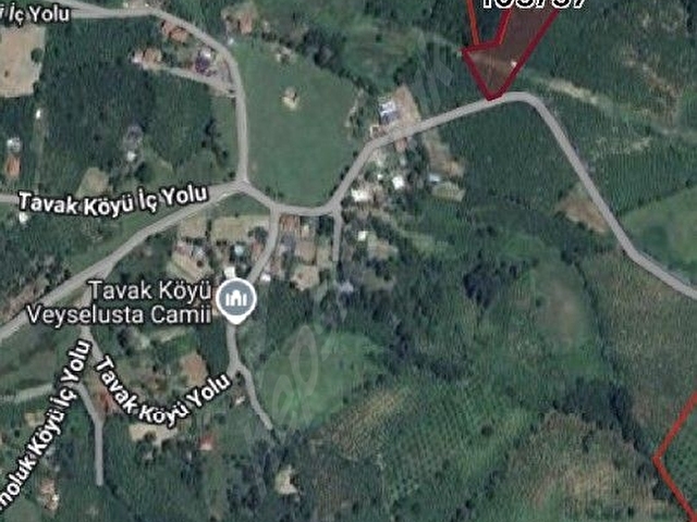 Düzce Kaynaşlı Çamoluk köyünde satılık fındık bahçesi - Görsel 29