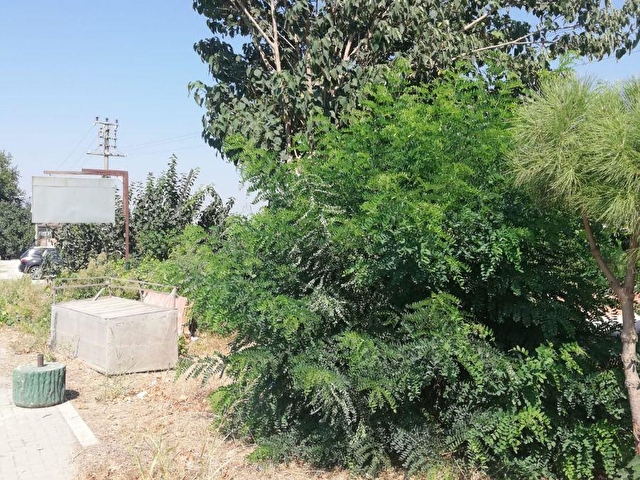 Izmir Selcuk Ta Imara Acilacak Emsalsiz Arsa 104189 1153 Hurriyet Emlak