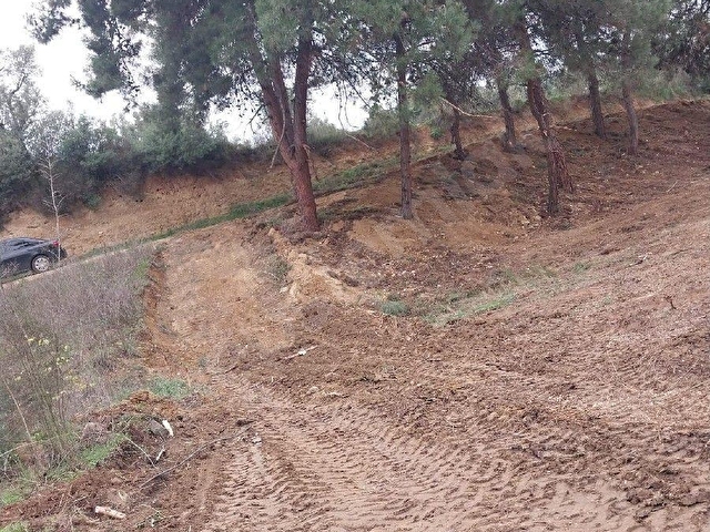İZNİK ÇİÇEKLİ KÖYÜNDE YOL, SU PROBLEMİ OLMAYAN ARAZİ  DÜZELTİLMİŞ HAZIR VAZİYETTE - Görsel 2