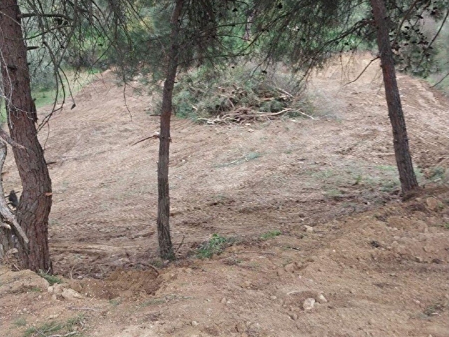 İZNİK ÇİÇEKLİ KÖYÜNDE YOL, SU PROBLEMİ OLMAYAN ARAZİ  DÜZELTİLMİŞ HAZIR VAZİYETTE - Görsel 5