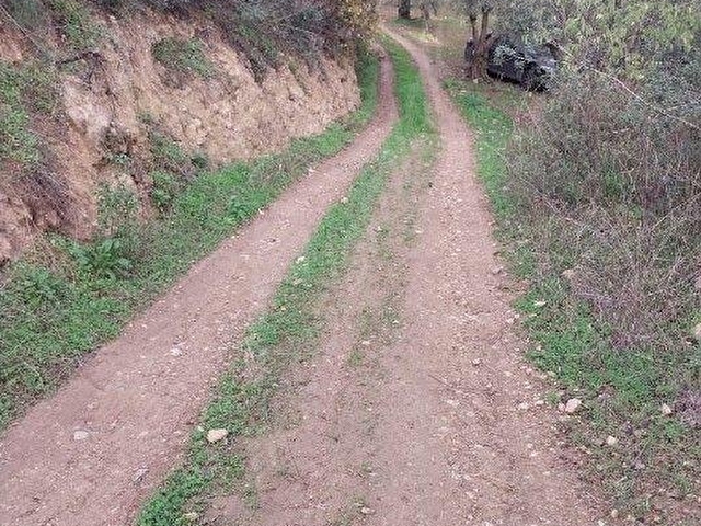 İZNİK ÇİÇEKLİ KÖYÜNDE YOL, SU PROBLEMİ OLMAYAN ARAZİ  DÜZELTİLMİŞ HAZIR VAZİYETTE - Görsel 6
