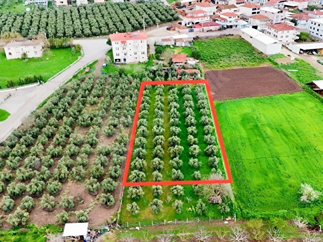 LOOKHAUSE MUDANYA HASKÖYDE SATILIK 1.317 VİLLA ARSASI - Görsel 9