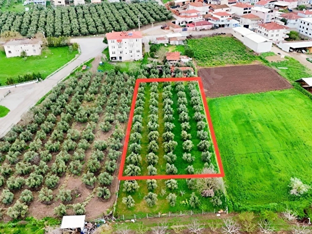 LOOKHAUSE MUDANYA HASKÖYDE SATILIK 1.317 VİLLA ARSASI - Görsel 17
