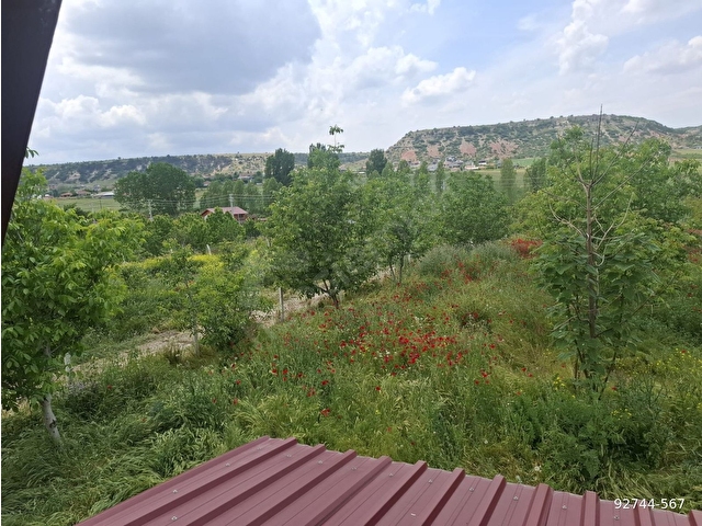 ESKİŞEHİR ODUNPAZARI SARISUNGUR MH 4356M  İÇİNDE 70M ÜÇGEN EV MEYVE AGAÇLARI V.S SATILIK TARLA - Görsel 20
