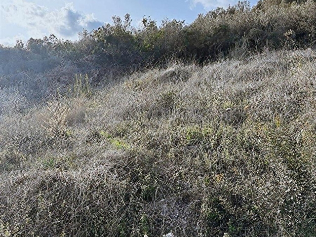 Akbaşlardan bodruma çok yakın boğaziçinde fırsat arsa - Görsel 8