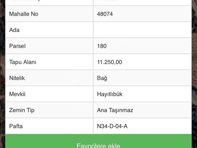 ZEYTİN BAHÇESİ TEK TAPU,EMELCİKte