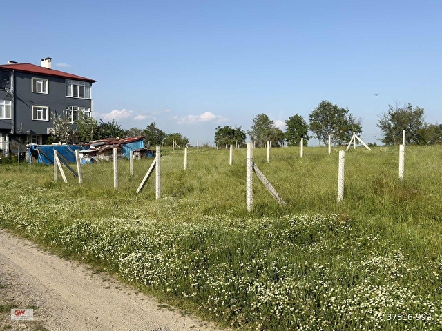 TEKİRDAĞ SARAY BÜYÜKYONCALIDA 250m2 TEK TAPU ACİL SATILIK ARSA - Görsel 12