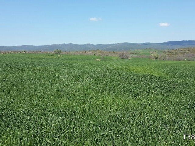 ÇANAKKALE GELİBOLU EVREŞE SATILIK YATIRIMLIK 6300 M2 UYGUN TARLA - Görsel 2