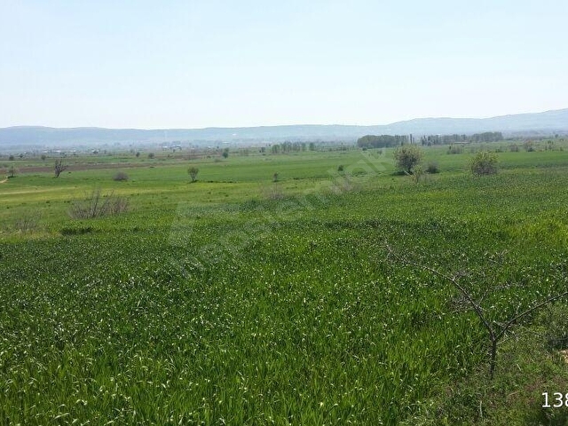 ÇANAKKALE GELİBOLU EVREŞE SATILIK YATIRIMLIK 6300 M2 UYGUN TARLA - Görsel 14