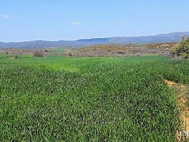ÇANAKKALE GELİBOLU EVREŞE SATILIK YATIRIMLIK 6300 M2 UYGUN TARLA - Görsel 19