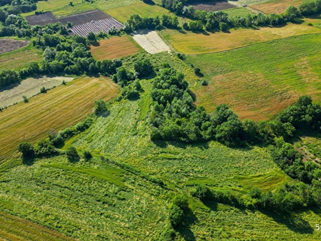 KOCAELİ KARAMÜRSEL HAYRİYE SATILIK 21.662 M2 TARLA - Görsel 3