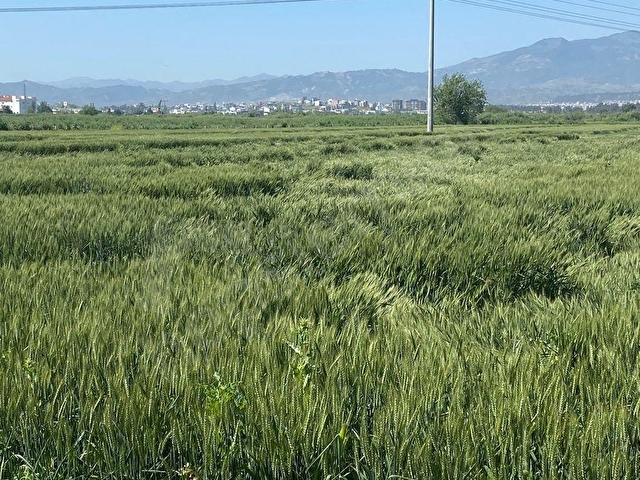 Tek tapu yatırımlık fırsat tarla açıklamayı okumadan geçmeyin - Görsel 22