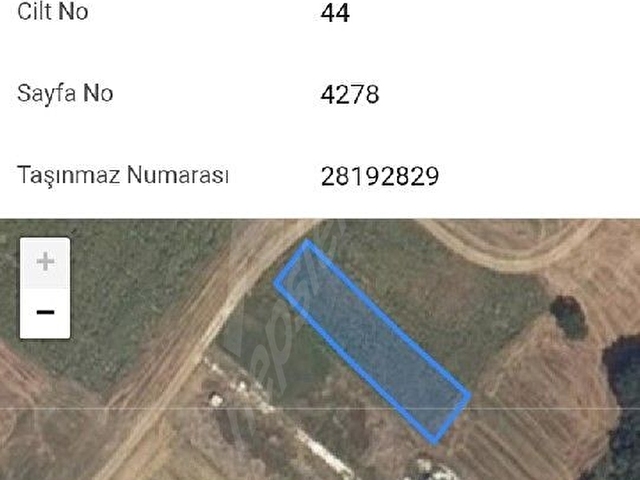 Ertuğrul Köyünde Acil Satılık Müstakil Tapulu Tarla