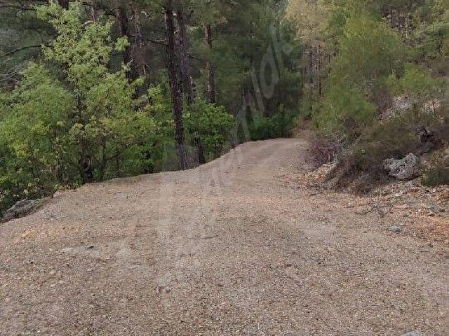 Yerkesik Yeniköy’de Orman Yollu, Köye Yakın 6.5 Dönüm Çiftlik Arazisi - Görsel 2