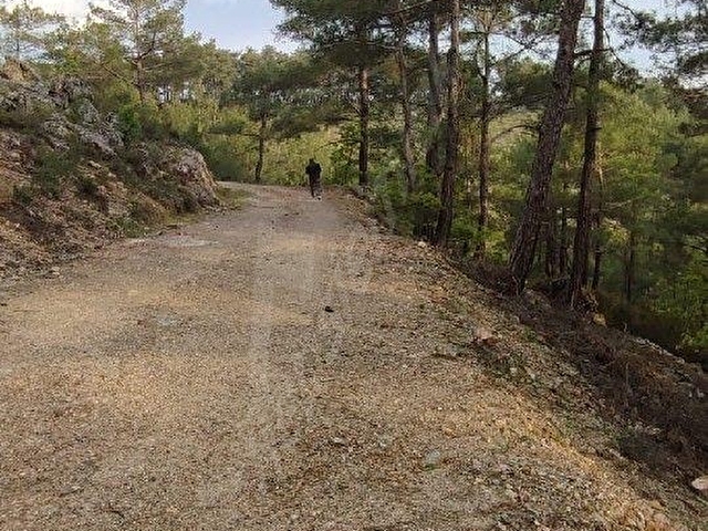 Yerkesik Yeniköy’de Orman Yollu, Köye Yakın 6.5 Dönüm Çiftlik Arazisi - Görsel 9