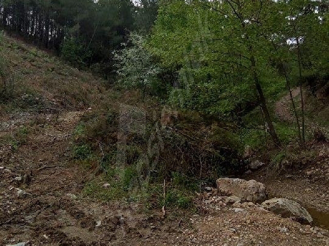 Yerkesik Yeniköy’de Orman Yollu, Köye Yakın 6.5 Dönüm Çiftlik Arazisi - Görsel 11