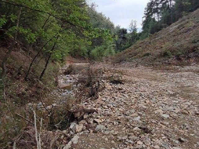 Yerkesik Yeniköy’de Orman Yollu, Köye Yakın 6.5 Dönüm Çiftlik Arazisi - Görsel 17