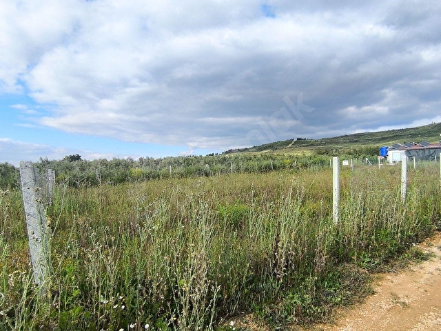 F.E.Gden İzmir Menderes Tekelide 700 m2 Rıza-i Taksimli Bahçe - Görsel 26