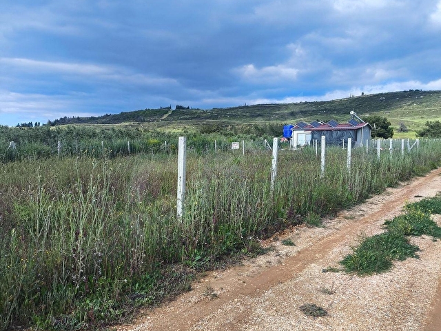 F.E.Gden İzmir Menderes Tekelide 700 m2 Rıza-i Taksimli Bahçe - Görsel 24