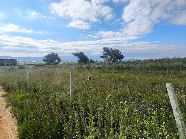 F.E.Gden İzmir Menderes Tekelide 700 m2 Rıza-i Taksimli Bahçe - Görsel 11