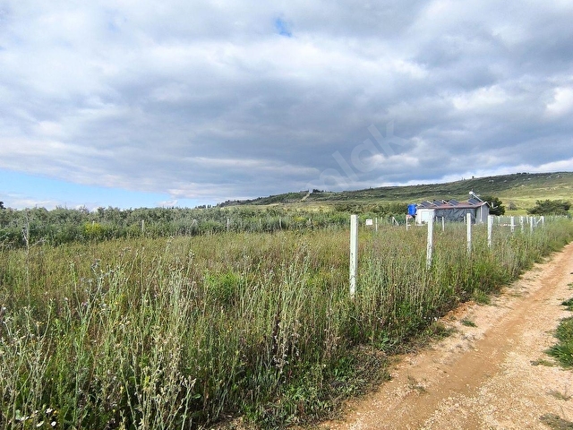 F.E.Gden İzmir Menderes Tekelide 700 m2 Rıza-i Taksimli Bahçe - Görsel 27