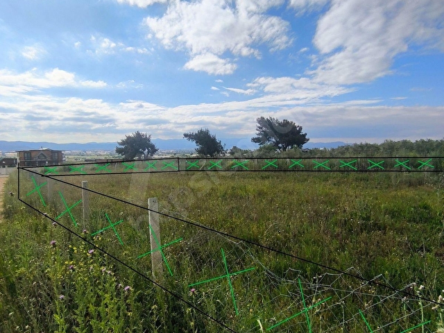 F.E.Gden İzmir Menderes Tekelide 700 m2 Rıza-i Taksimli Bahçe