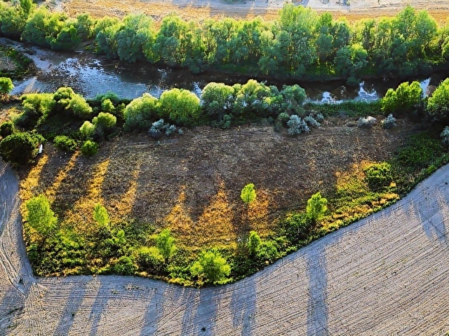 ALLLESTEN SARICAKAYADA SAKARYA NEHRİ KENARINDA SATILIK TARLA - Görsel 16