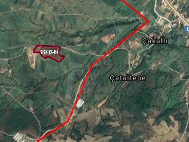 HayS&Rota Gayrimenkulden Kavak Çalbaşı Köyün de Satılık Tek Tapu Geniş Arazi! - Görsel 6
