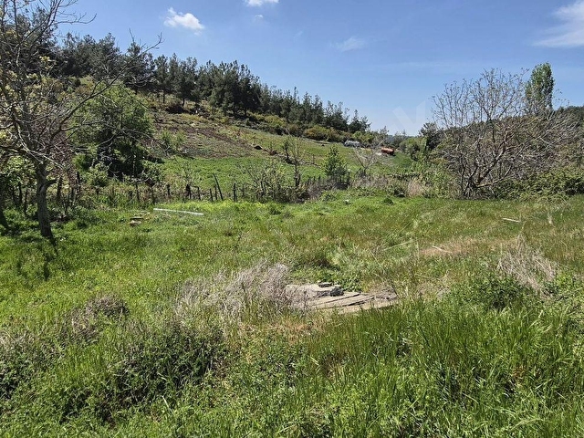 ÇANAKKALE MERKEZ DENİZGÖRÜNDÜ KÖYÜ İÇERİSİNDE BULUNAN 530 M2 BAHÇEMİZ SATILIKTIR - Görsel 11