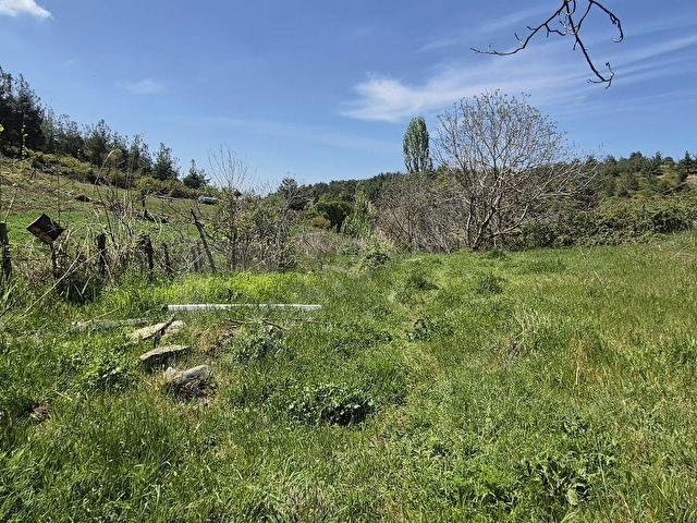 ÇANAKKALE MERKEZ DENİZGÖRÜNDÜ KÖYÜ İÇERİSİNDE BULUNAN 530 M2 BAHÇEMİZ SATILIKTIR - Görsel 13