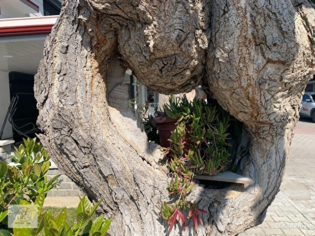 Nazilli Sitesi nde, Tadilatlı, Önü Açık, Satılık, 2+1 Villa - Görsel 7