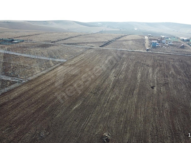 -*BAHÇELERİN İÇİNDE YOL KENARI DÜZLÜK TE 665 METRE HİSSELİ TAPU* - Görsel 11