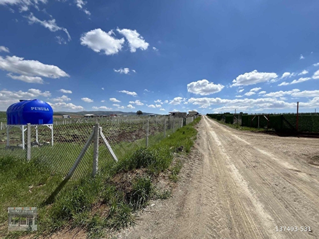 -*BAHÇELERİN İÇİNDE YOL KENARI DÜZLÜK TE 665 METRE HİSSELİ TAPU* - Görsel 6