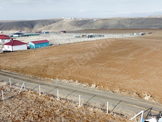 -*BAHÇELERİN İÇİNDE YOL KENARI DÜZLÜK TE 665 METRE HİSSELİ TAPU* - Görsel 19