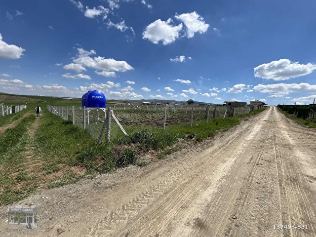 -*BAHÇELERİN İÇİNDE YOL KENARI DÜZLÜK TE 665 METRE HİSSELİ TAPU* - Görsel 2