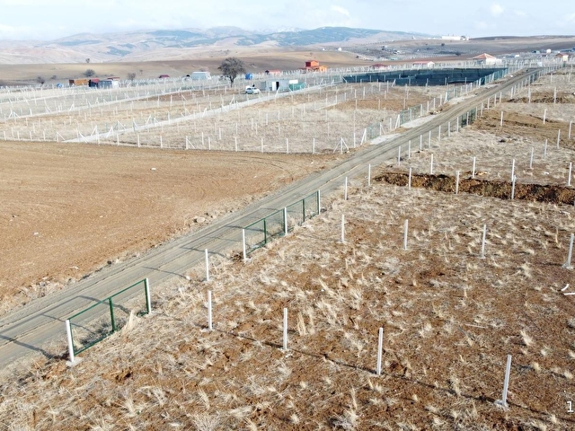 -*BAHÇELERİN İÇİNDE YOL KENARI DÜZLÜK TE 665 METRE HİSSELİ TAPU* - Görsel 23