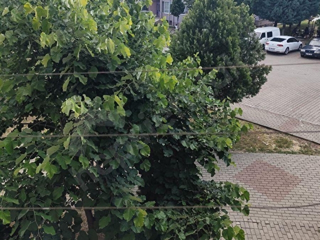 YENİGÜN MH 1. ETAP TOKİDE 94m² 2+1 ARAKAT DAİRE SATILIKTIR - Görsel 4