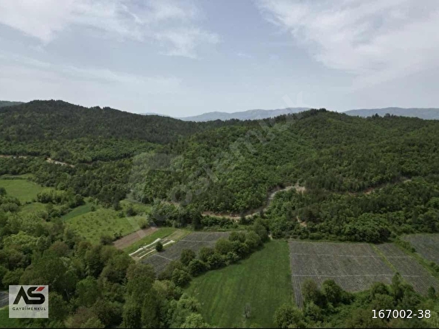 Çanakkale Yenice Karaaydın Mevkiinde Satılık Tarla 6.383 m² - Görsel 5