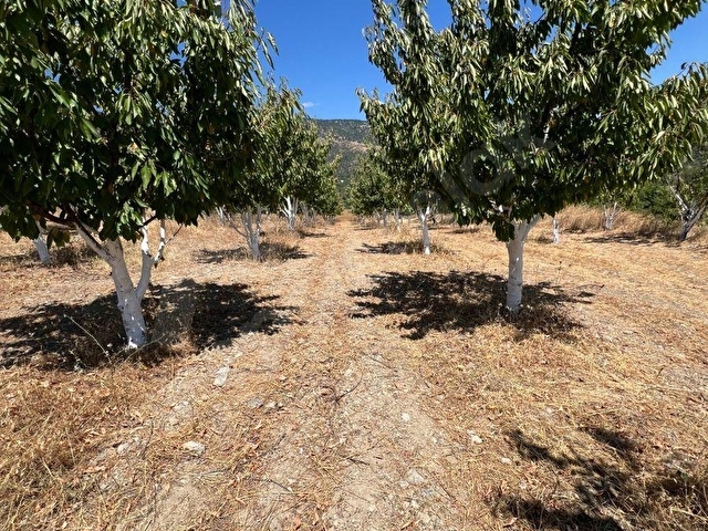 SERİN EMLAKTAN SATILIK AKYAMAÇ KÖYÜNDE  2300 m2 HİSSELİ TAPU FULL ŞEHİR MANZARALI - Görsel 10