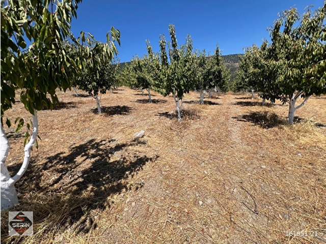 SERİN EMLAKTAN SATILIK AKYAMAÇ KÖYÜNDE  2300 m2 HİSSELİ TAPU FULL ŞEHİR MANZARALI - Görsel 3