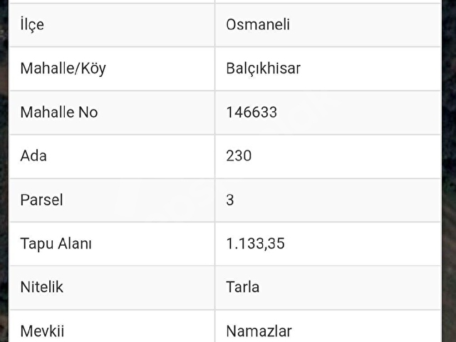 BİLECİK OSMANELİNDE KÖY GİRİŞİ YATIRIMLIK MANZARALI ARAZİ - Görsel 6