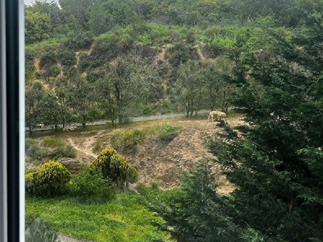Yuvam Akarca sitesi 3+1 ara kat satılık daire - Görsel 21