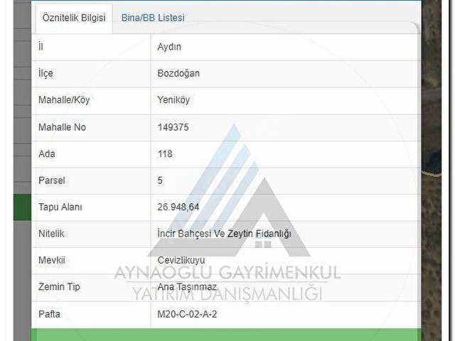 BOZDOĞAN NAZİLLİ KARAYOLUNA YAKIN YENİKÖYDE 3368m2 SULANABİLİR ZEYTİNLİK - Görsel 2