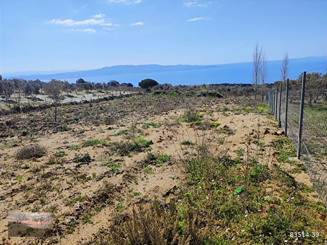 YALOVA ARMUTLU DA FULL MANZARALI SATILIK TARLA - Görsel 21