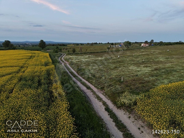 TEKİRDAĞ SARAY BÜYÜKYONCALI’DA 356M2 CADDE CEPHE ARSA - Görsel 6