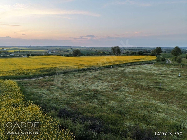 TEKİRDAĞ SARAY BÜYÜKYONCALI’DA 356M2 CADDE CEPHE ARSA - Görsel 24