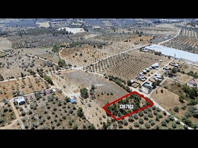 FİYAT DÜŞTÜ-ACİL SATILIK TARLA ( SICAK SU / TERMAL SU Çıkıyor, Tarlaya Sondal Vurulursa)... - Görsel 9