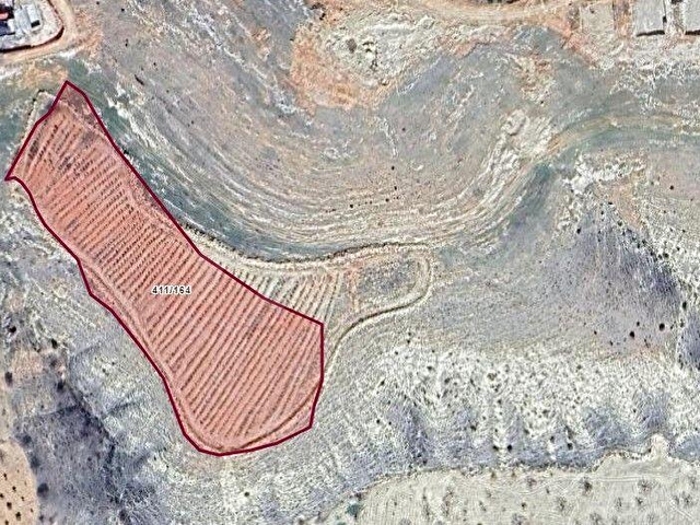Nizip Sekili’de Satılık Fırsat Arazisi | Sanayi ve Gelişim Alanlarına Komşu | 10.572 m² Tek Tapu - Görsel 6